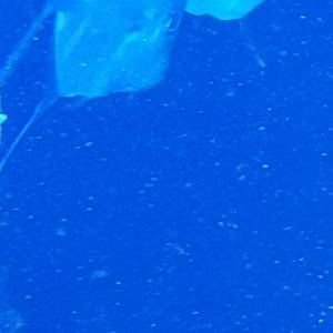 Meet your Posher, Miguel